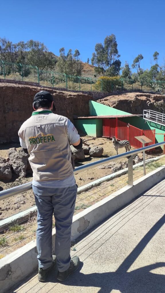 Encuentra Profepa irregularidades en La Encantada; niega fosas de animales