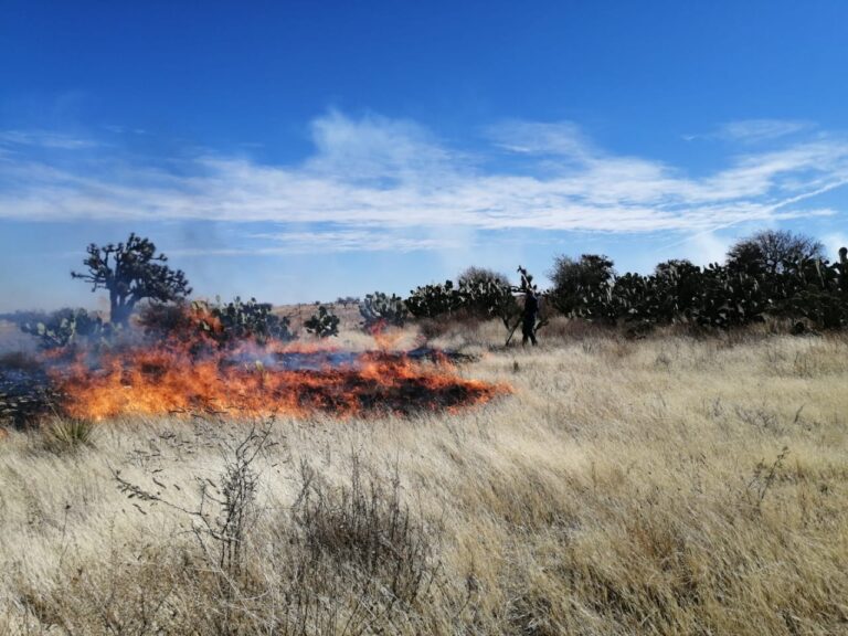 Aumentan los incendios con respecto a 2024