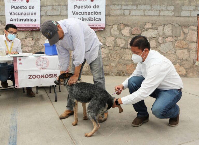 Mañana arranca vacunación antirrábica