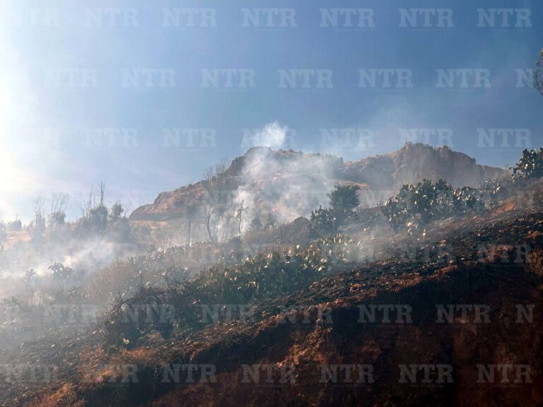 Se incendian casi veinte hectáreas en las faldas de La Bufa