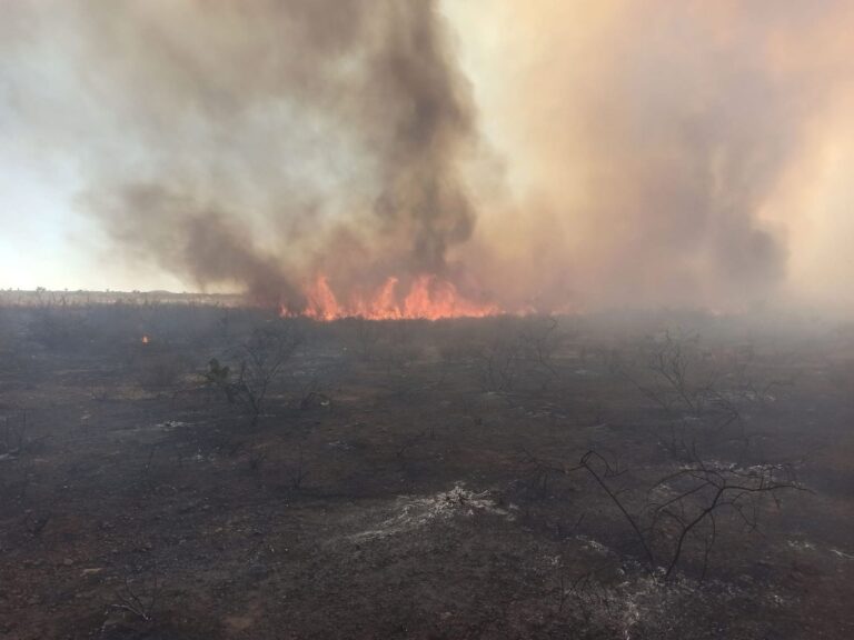 Se adelanta la temporada de incendios en Fresnillo