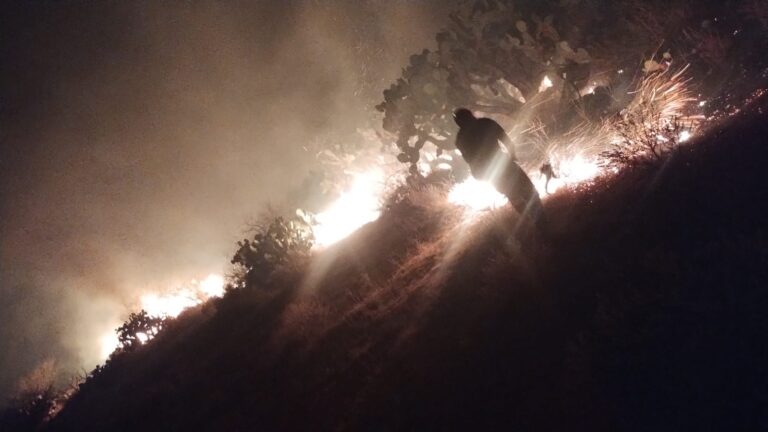 Se registran múltiples incendios en la zona conurbada