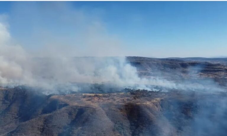 Voraz incendio cubre Palo Alto