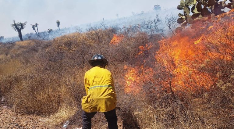 Se triplican incendios en la capital: CMPC