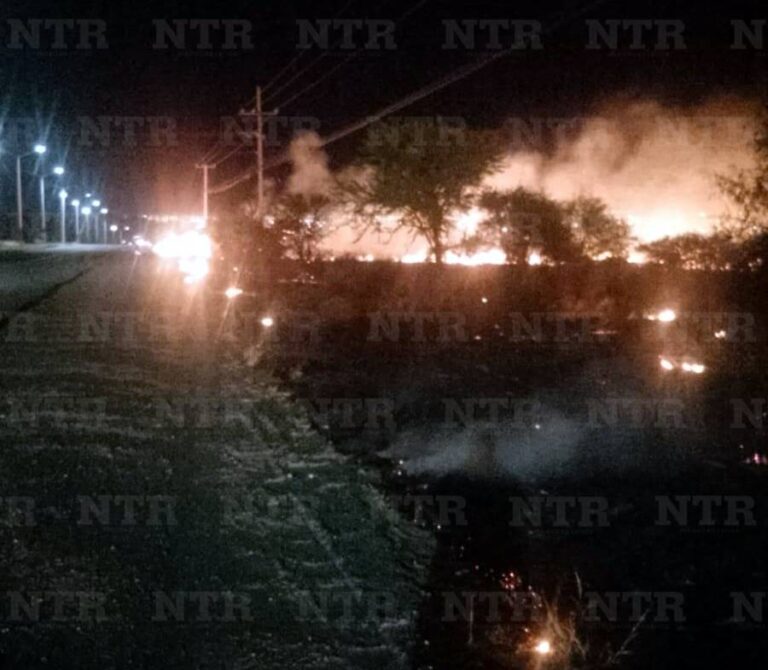 Controlan incendio forestal en Chilitos