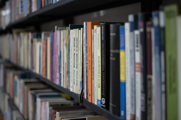 Deficientes, bibliotecas de Miguel Auza