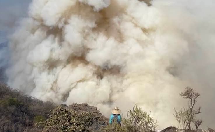Llevan controlado 60% del incendio en Cerro Chino