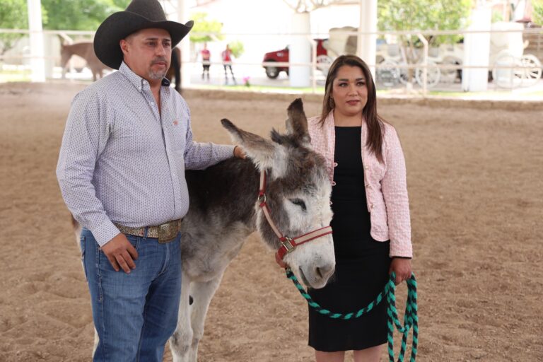 Rescatan a burro maltratado en el Sábado de Gloria