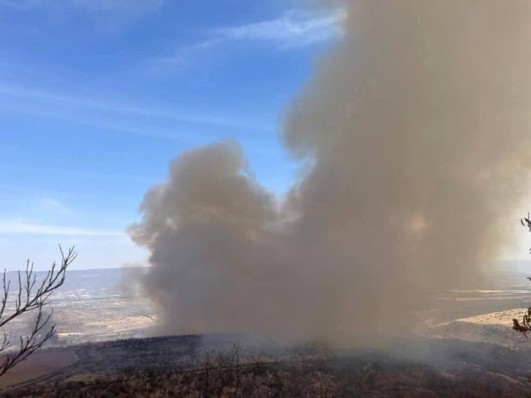 Contienen incendio forestal en Tabasco
