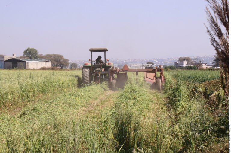 Urgen a proteger a productores