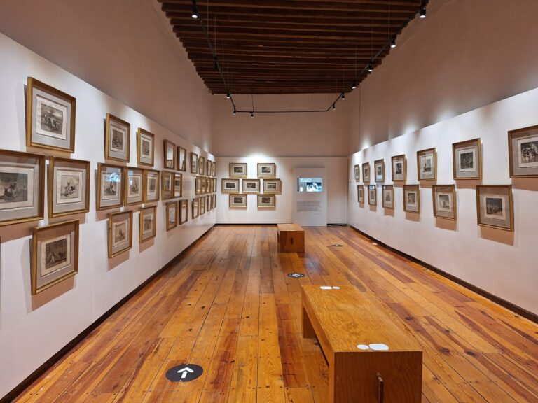 Universo de Pedro Coronel, los tesoros de un museo