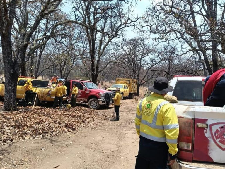 Participa Fuerza de Tarea Genaro Codina en el combate a incendios