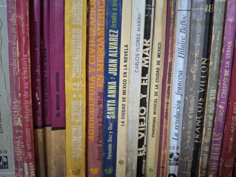 Arreglará BENMAC su biblioteca con recurso federal