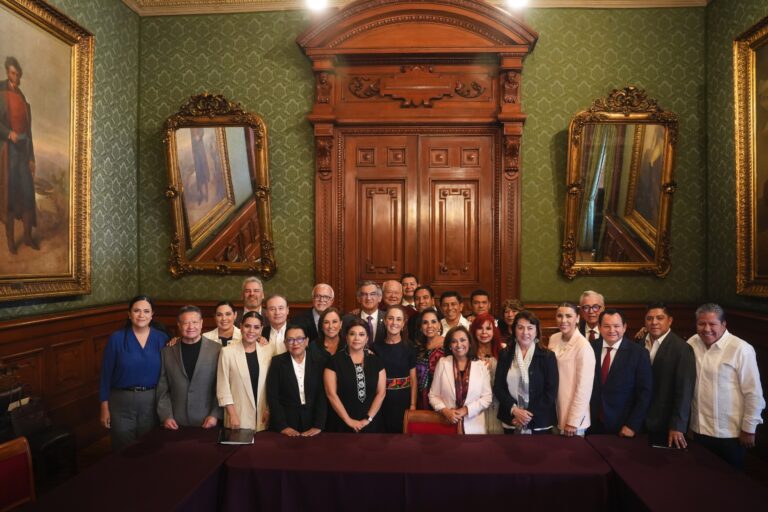 Buscan garantizar un sistema de salud gratuito y universal