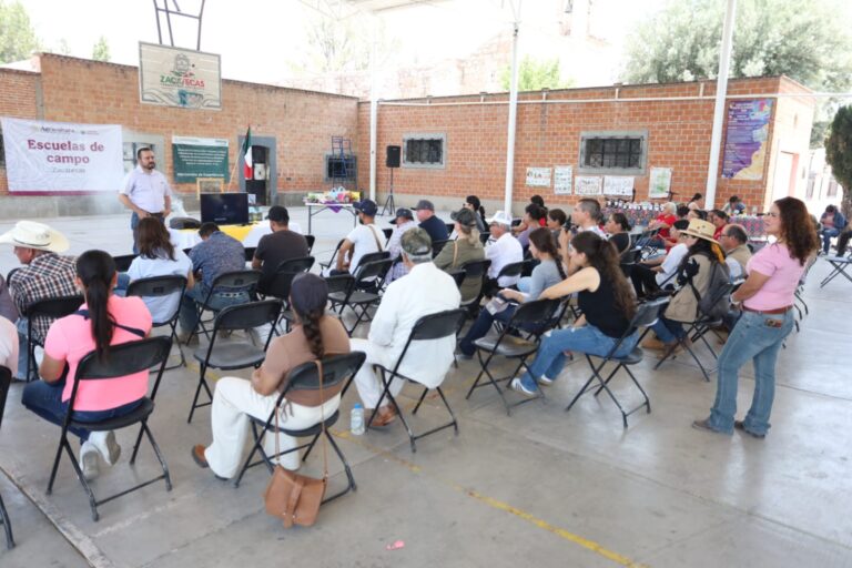 Impulsan la apicultura en Jerez