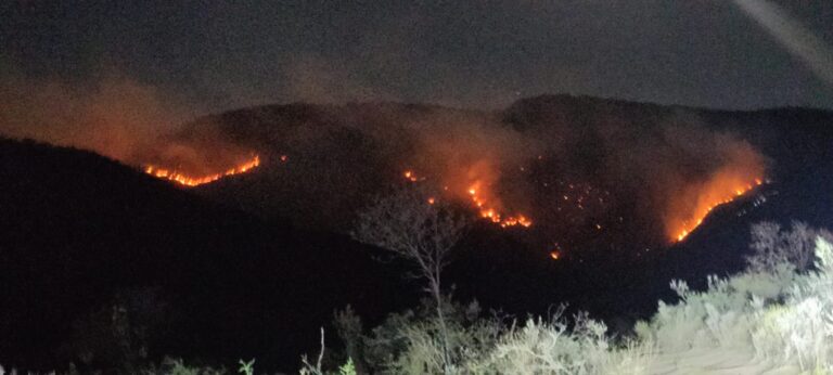 Refuerzan combate a incendio en Los Ramos