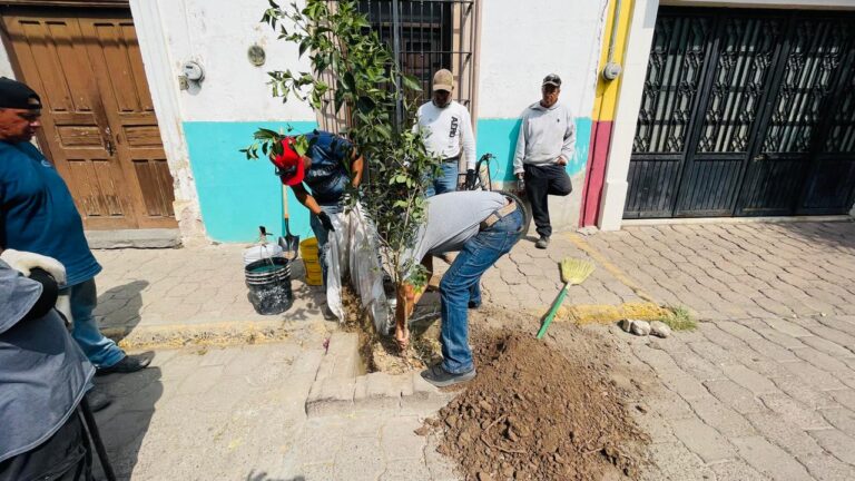 Inician campaña de reforestación en Jerez