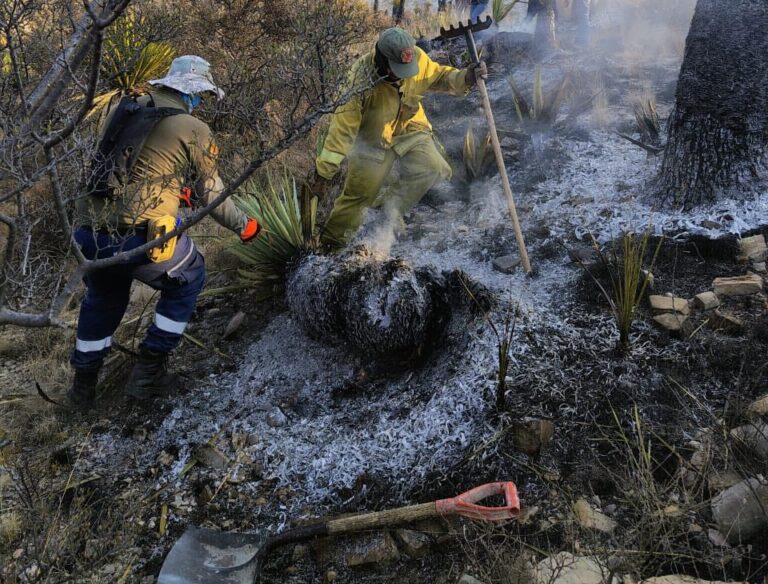 Registran 258 incendios en Zacatecas