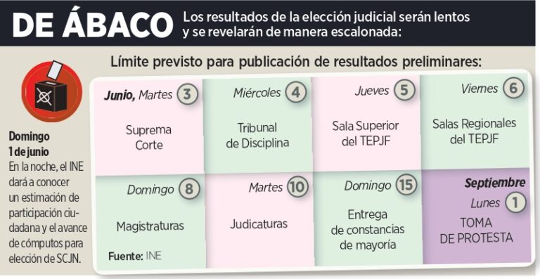 Tardarán 10 días ¡en contar votos!