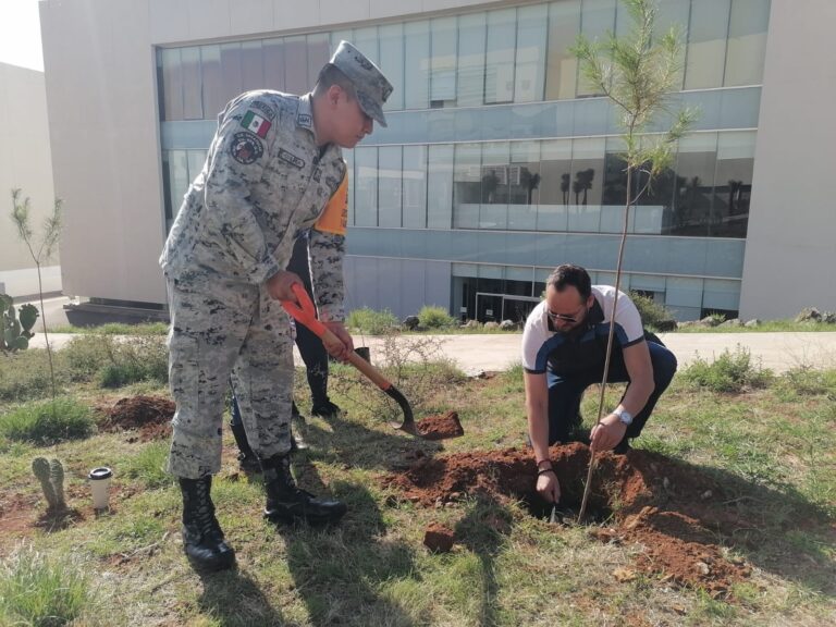Participa Guardia Nacional en actividades de reforestación y atención ciudadana