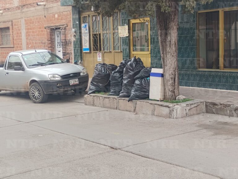 Basura doméstica cubre las calles