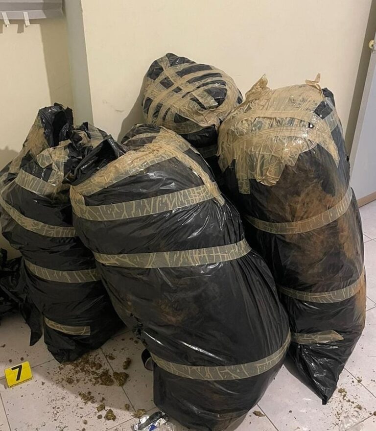 Decomisan 160 kilos de marihuana en Geranios