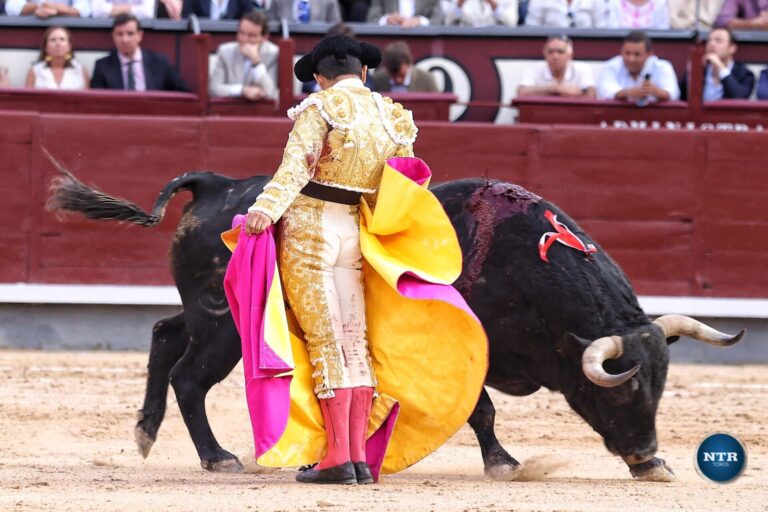 Joselito Adame regresa a Soria, su plaza talismán en España