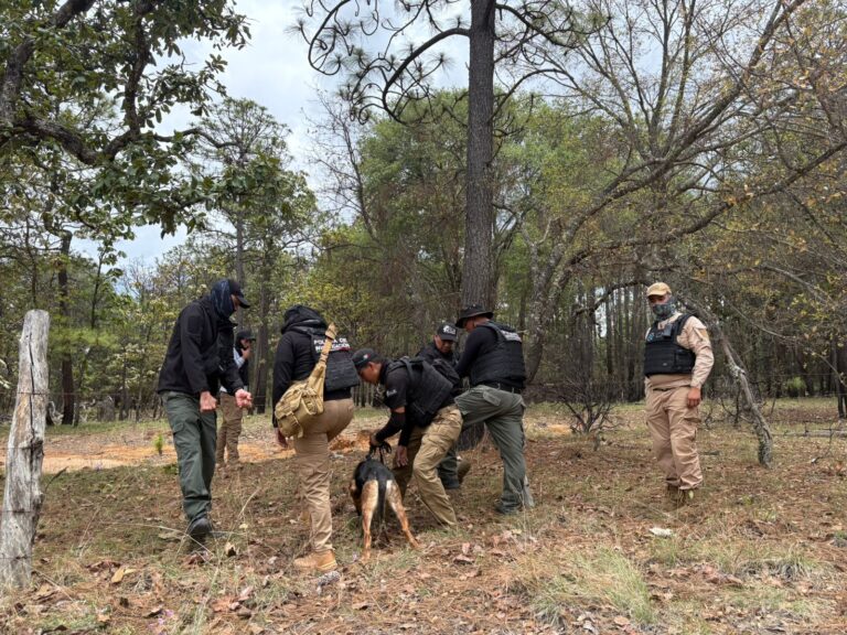 Realizan búsqueda forense en Florencia