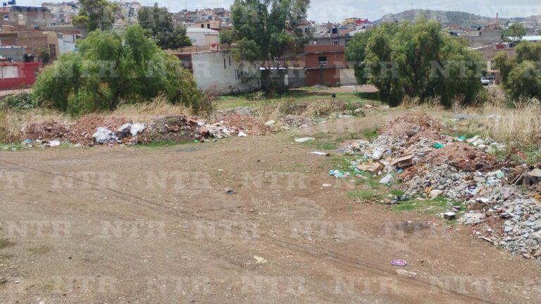 Reportan montañas de basura en Periodistas