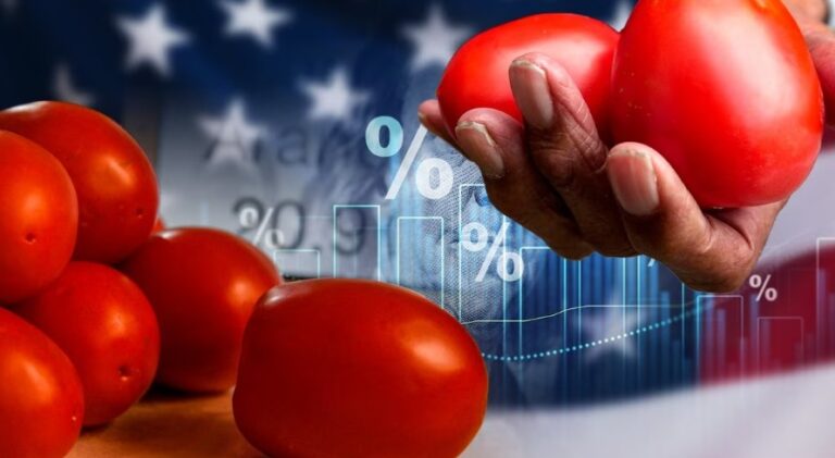 México responde a Trump por aranceles al tomate: ‘Afectará los bolsillos de los estadounidenses’