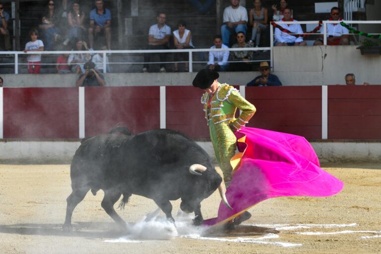 Aloi debuta con el pie derecho en Francia