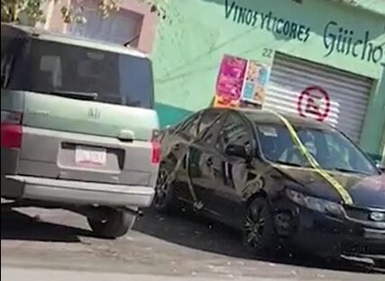 Reportan gran presencia de abejas en la Luis Moya