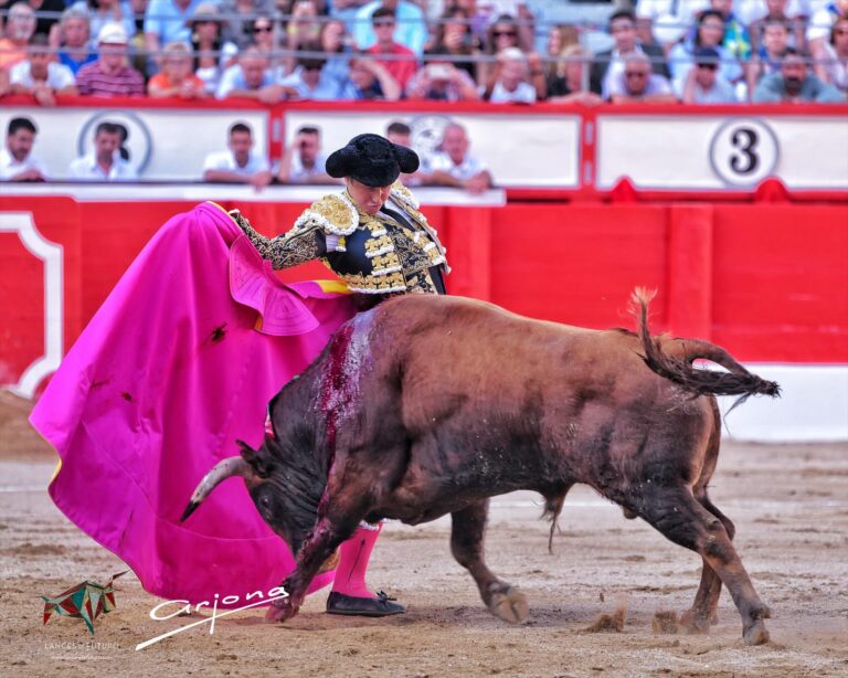 El Cid y Roca Rey, oreja en el cierre de la Feria de Santander