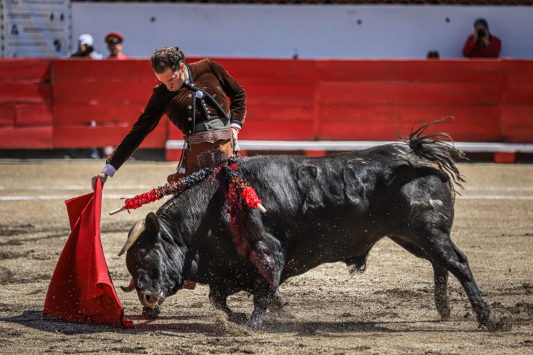 Gran Festival Taurino con Causa en Teocaltiche