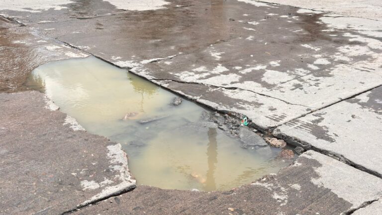Brote de aguas negras alarma a las Arboledas