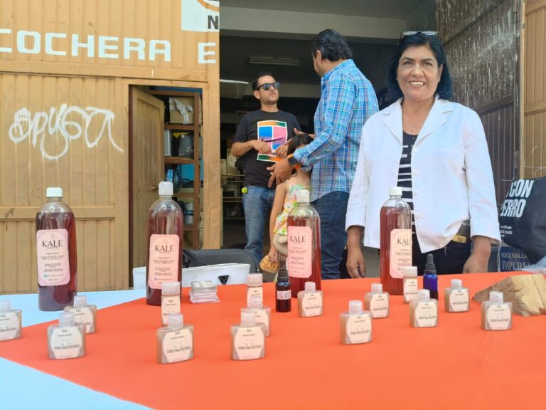 Impulsa MC el Mercadito Naranja en Fresnillo
