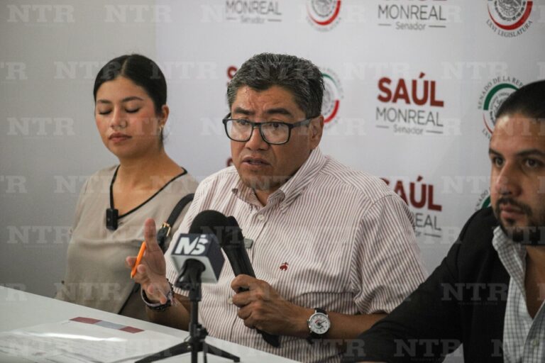 Plaga de chapulines afecta a varios municipios, advierten morenistas