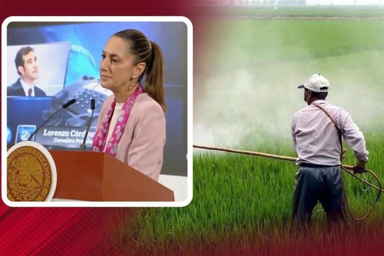 Confirmada, seguridad de glifosato, dice Bayer frente a CSP