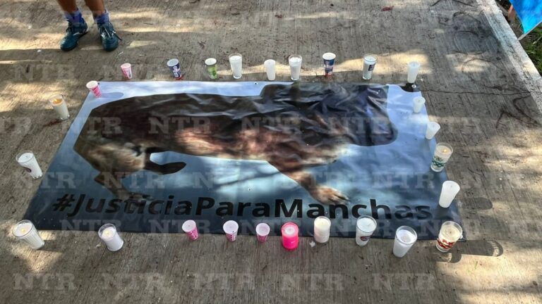Informan avances del caso de Manchas