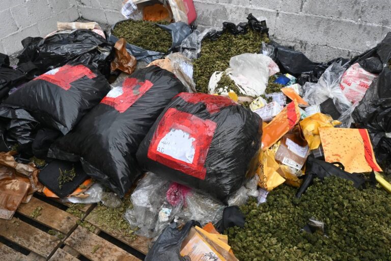 Incineran más de 74 kilos de sustancias ilícitas