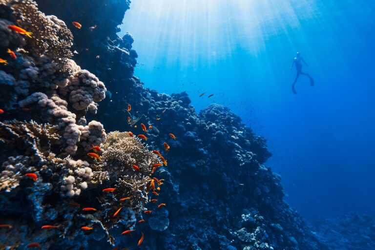 Muere turista catalán cuando practicaba submarinismo en Bali