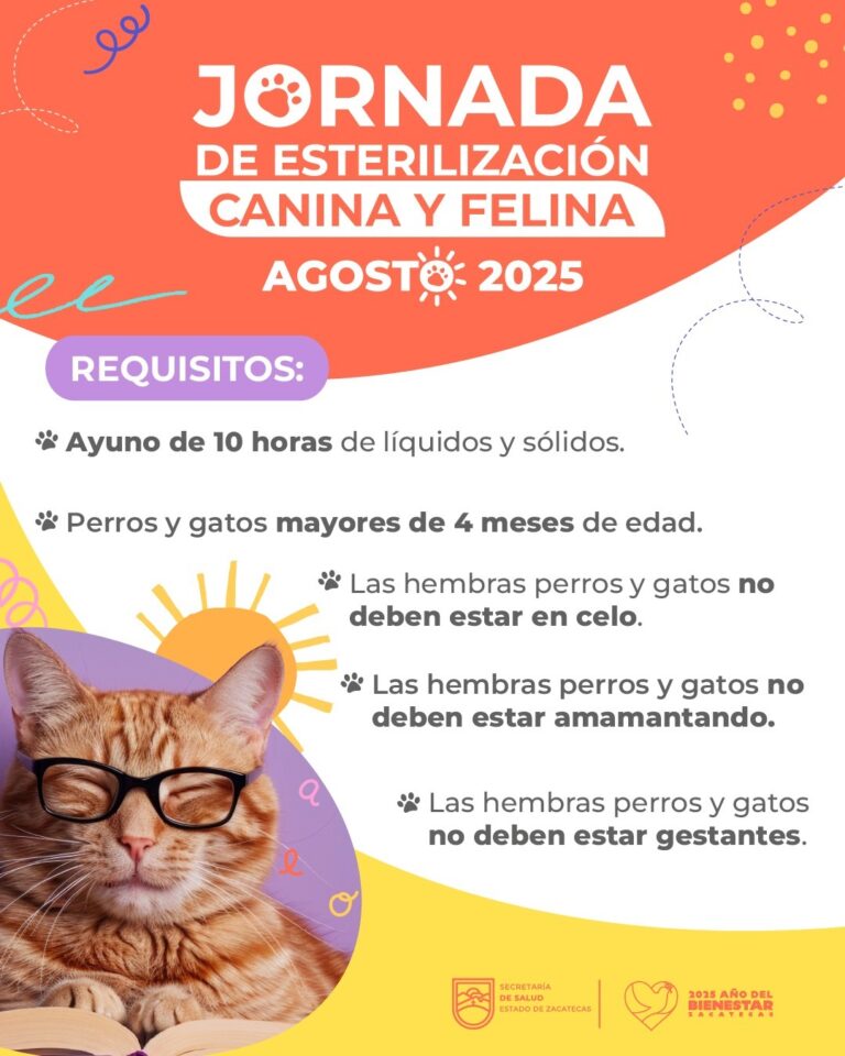 Realizarán jornada de esterilización en Morelos y Noria de Ángeles