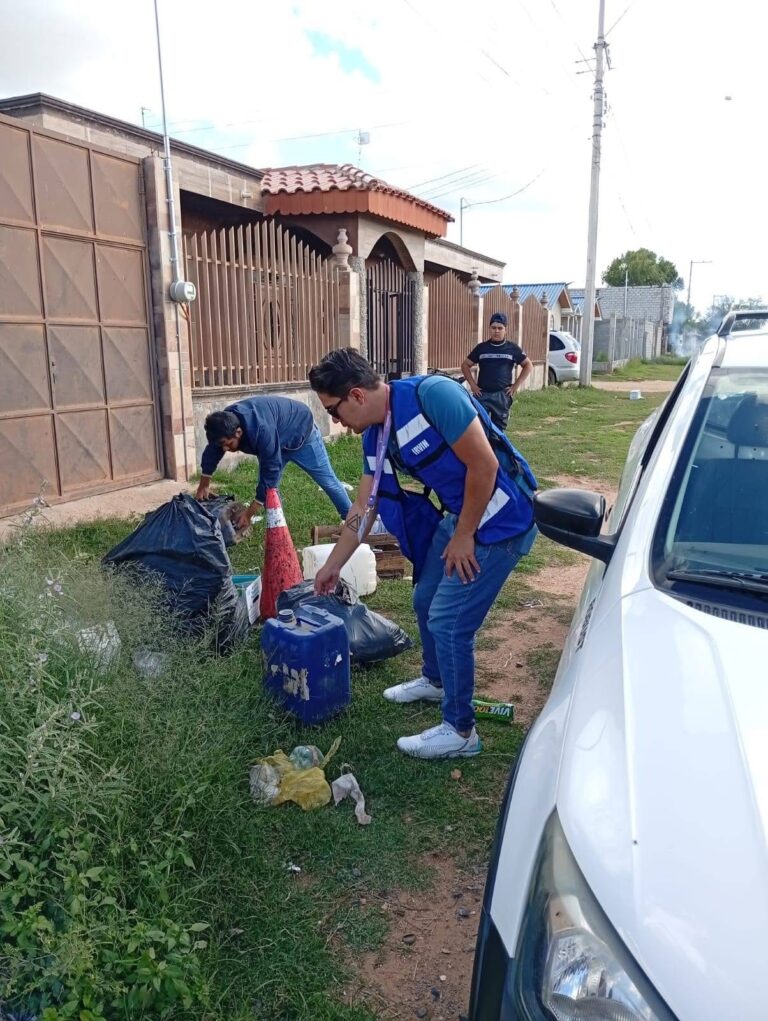 Atajan incremento de mosquitos en localidades