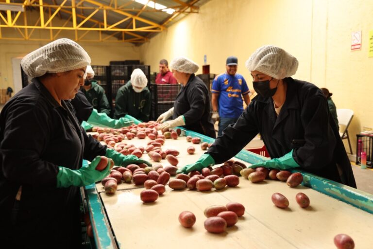 Temen baja exportación de tunas por aranceles