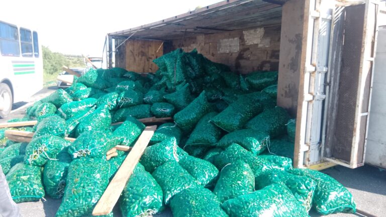 Vuelca camión cargado de chiles