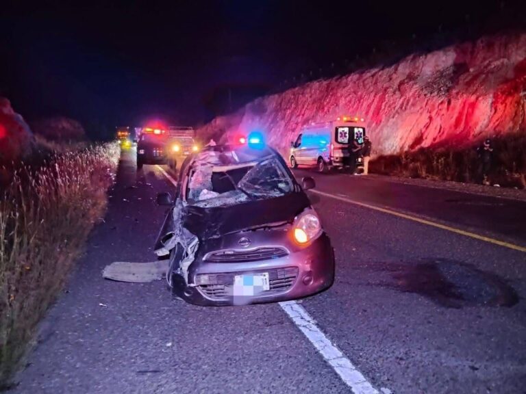 Muere caballo en aparatoso accidente