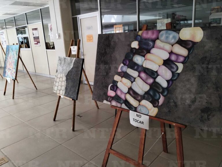 Artistas zacatecanos presentan Colorida Terra