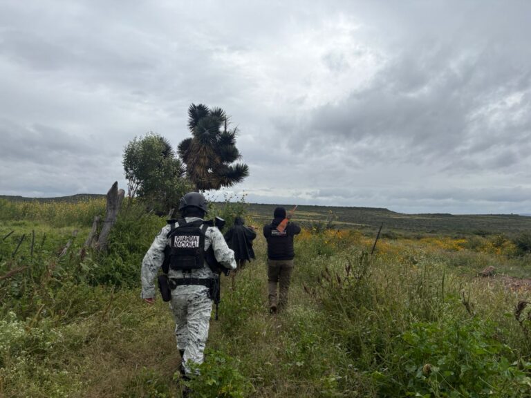 Continúan acciones de búsqueda en Tepetongo