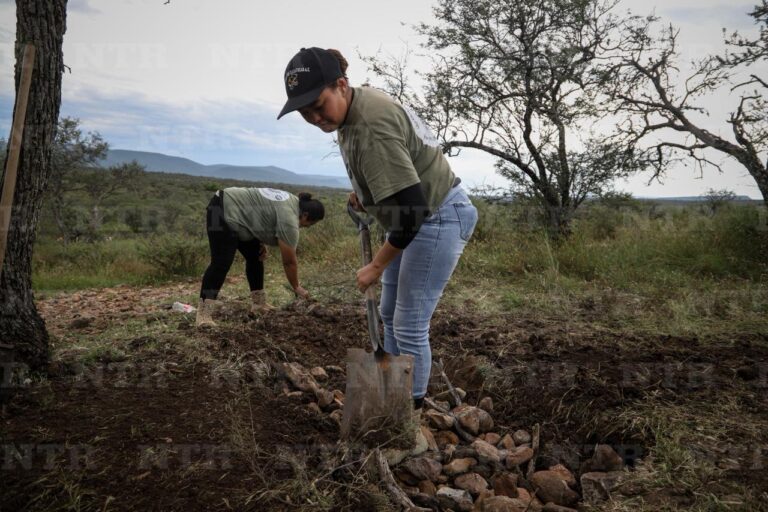 Las Escarabajos reportan más hallazgos en El Caquixtle