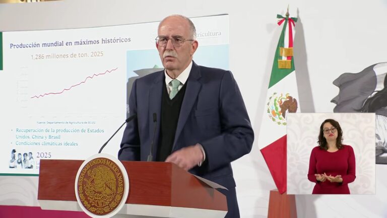 Van por sistema para ordenar y comercializar maíz